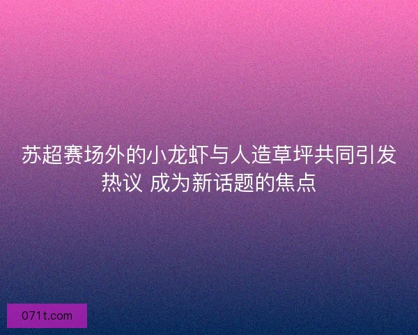 苏超赛场外的小龙虾与人造草坪共同引发热议 成为新话题的焦点